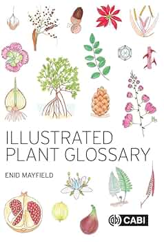 洋書 Plant Bioinformatics　カバー表紙破れ　英語 洋書 Plant Bioinformatics カバー表紙破れ 英語 洋書 Plant